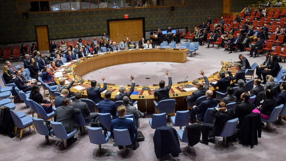 Varnostni svet Združenih narodov (Photo: UN Media)